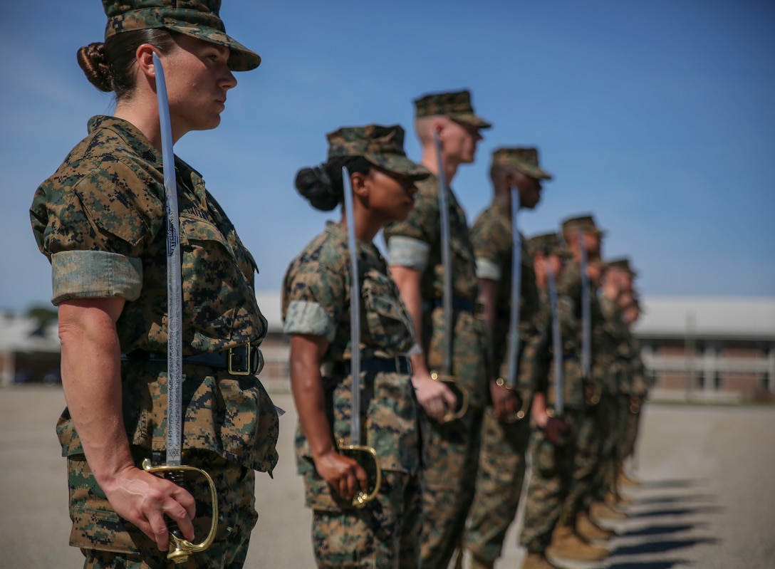 Mission: The mission of Drill Instructor School is to further develop the leadership, command presence, instructional ability, knowledge, and physical condition of the selected noncommissioned officers, staff noncommissioned officers and officers to successfully perform the duties of a drill instructor or series commander.