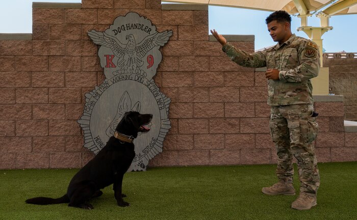 Trainer gives command to dog.