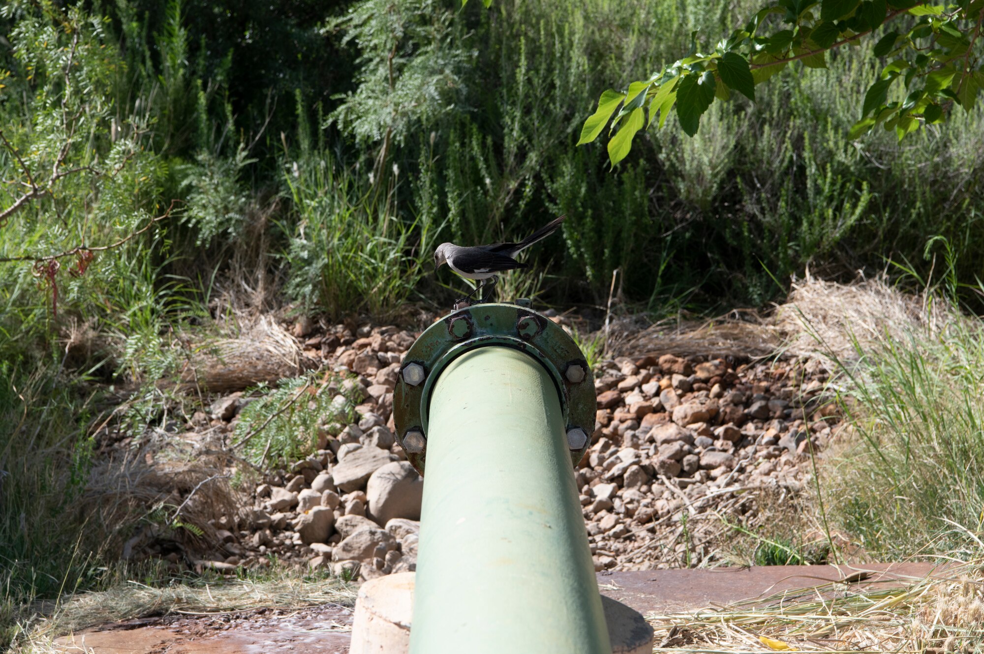 49th Civil Engineer Squadron fixes a water well