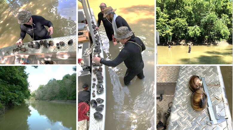 IN THE PHOTO, the Memphis District Dive Team performs a survey in Iron Mines Creek in Marked Tree, Ark. as part of an environmental impact assessment for a creek cleanout project.