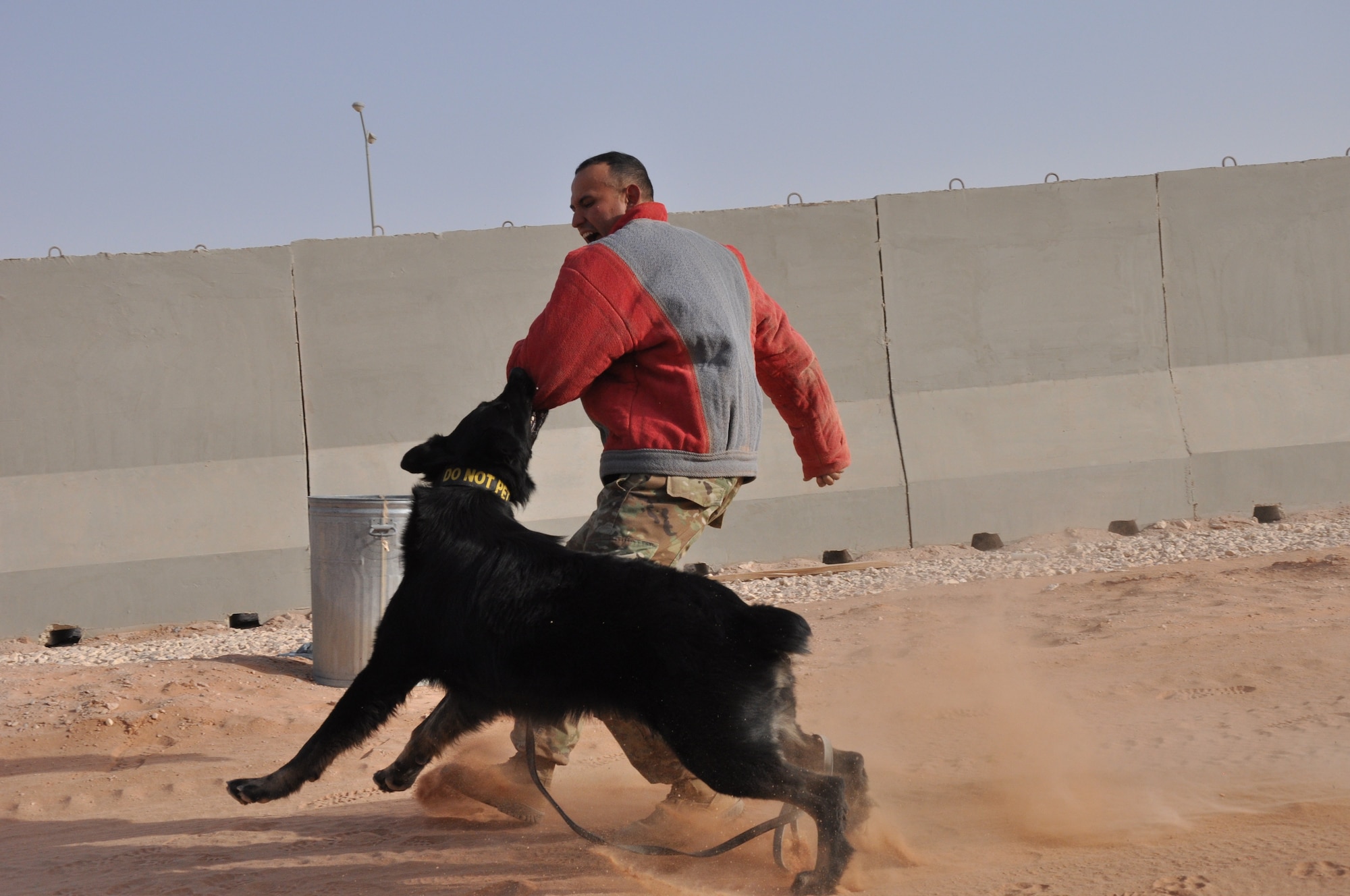 Military working dog handlers from the 378th Expeditionary Security Forces Squadron conduct a demonstration of restraint tactics at Prince Sultan Air Base, Kingdom of Saudi Arabia.