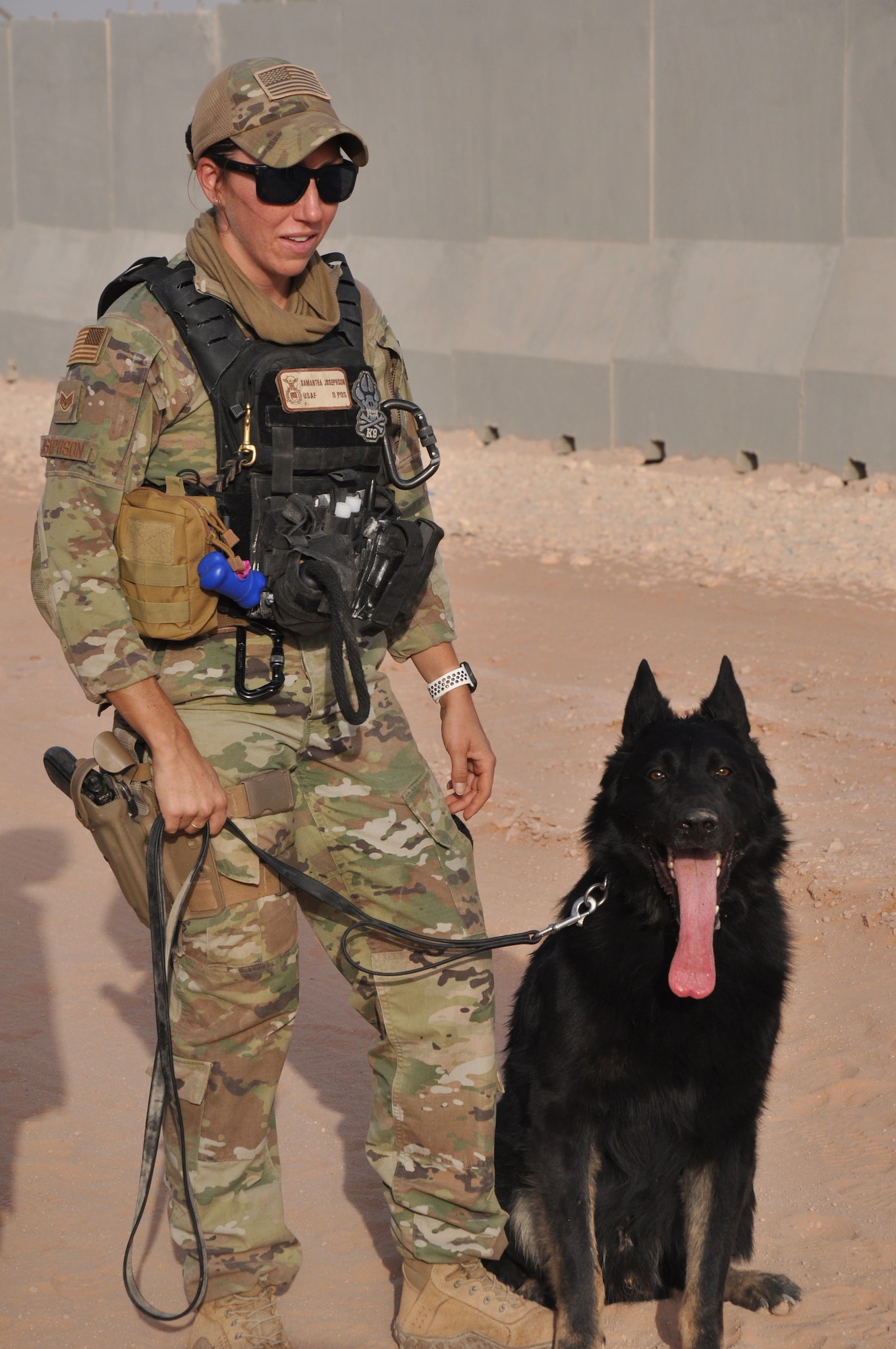 Military working dog handlers from the 378th Expeditionary Security Forces Squadron conduct a demonstration of restraint tactics at Prince Sultan Air Base, Kingdom of Saudi Arabia.