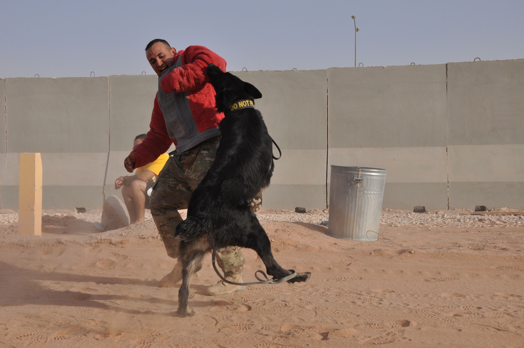 Military working dog handlers from the 378th Expeditionary Security Forces Squadron conduct a demonstration of restraint tactics at Prince Sultan Air Base, Kingdom of Saudi Arabia.