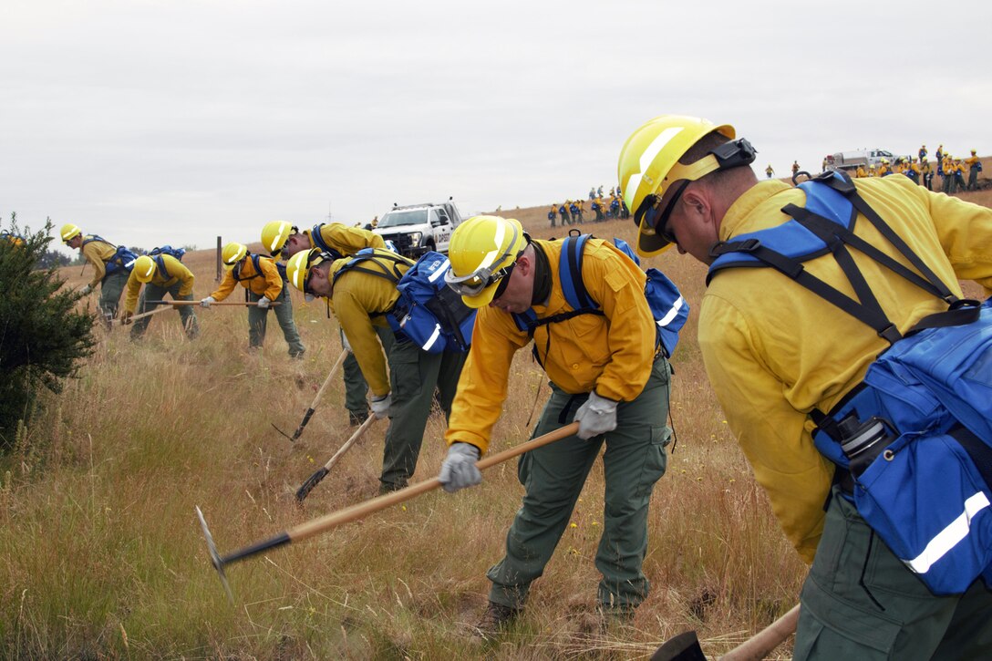 A line of men in firefighting outfits use tools to create a fireline.