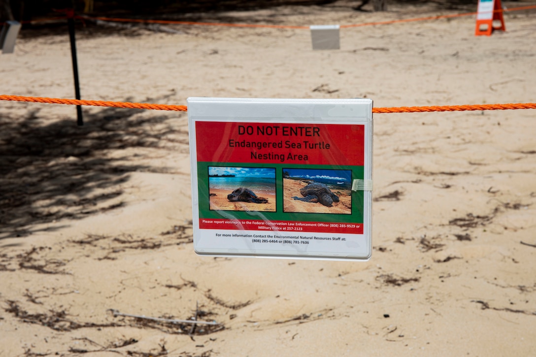 Personnel are monitoring sea turtle nests aboard Marine Corps Training Area Bellows, MCBH, June 10.