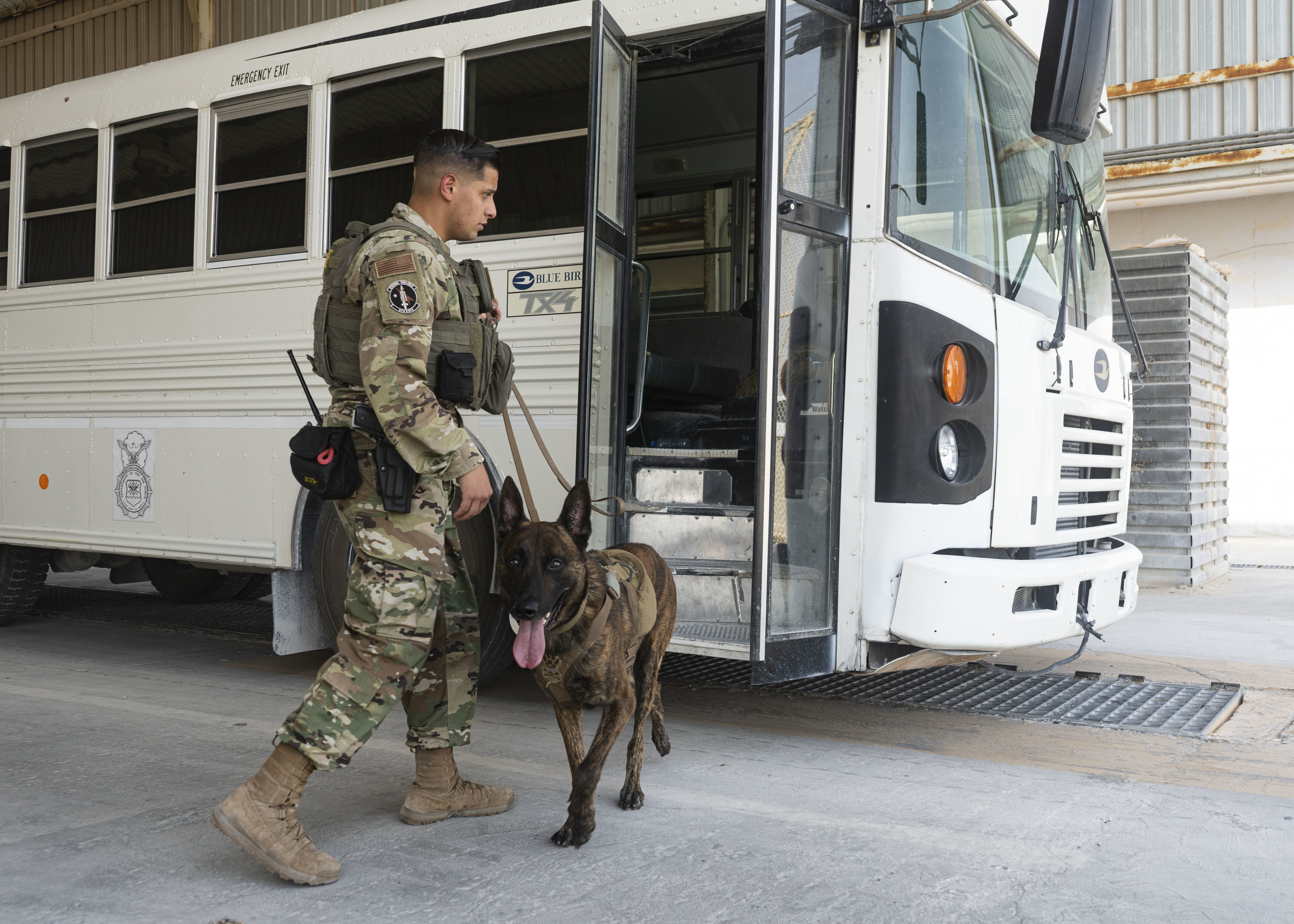 Military Working Dogs, handlers stick together > U.S. Air Forces