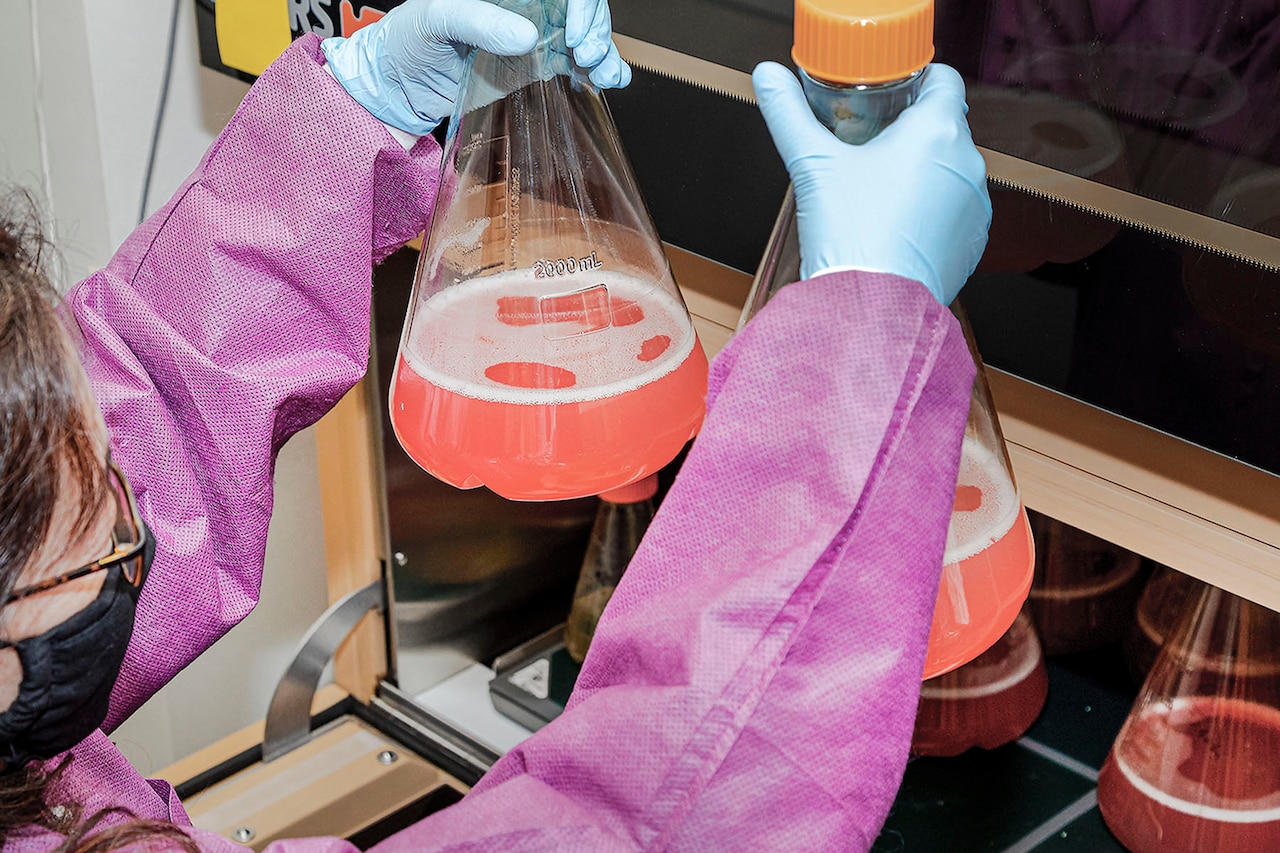 A person in a medical uniform holds two beakers of pinkish liquid.