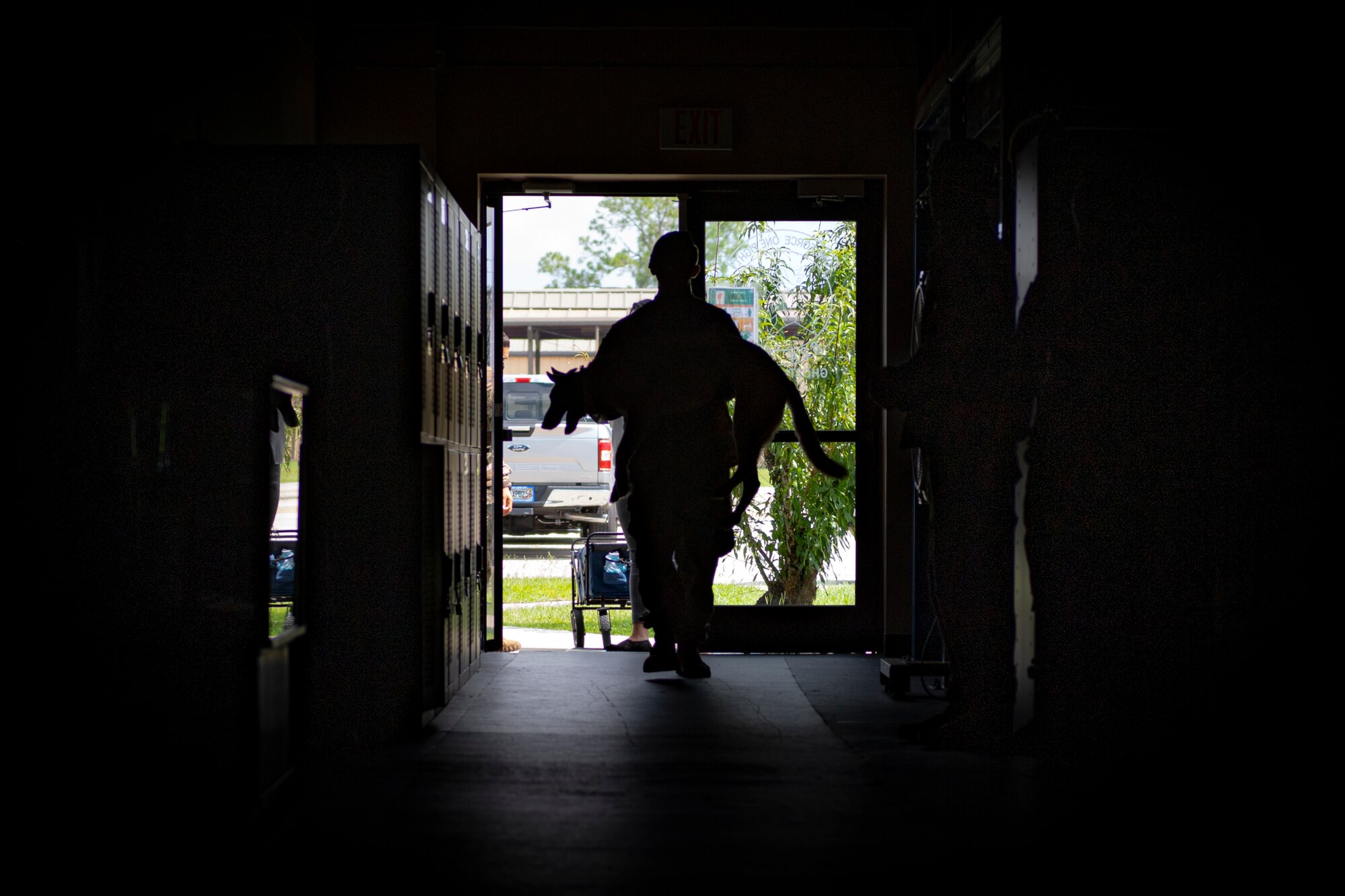 A photo of an Airman carrying a retired military working dog into a ceremony