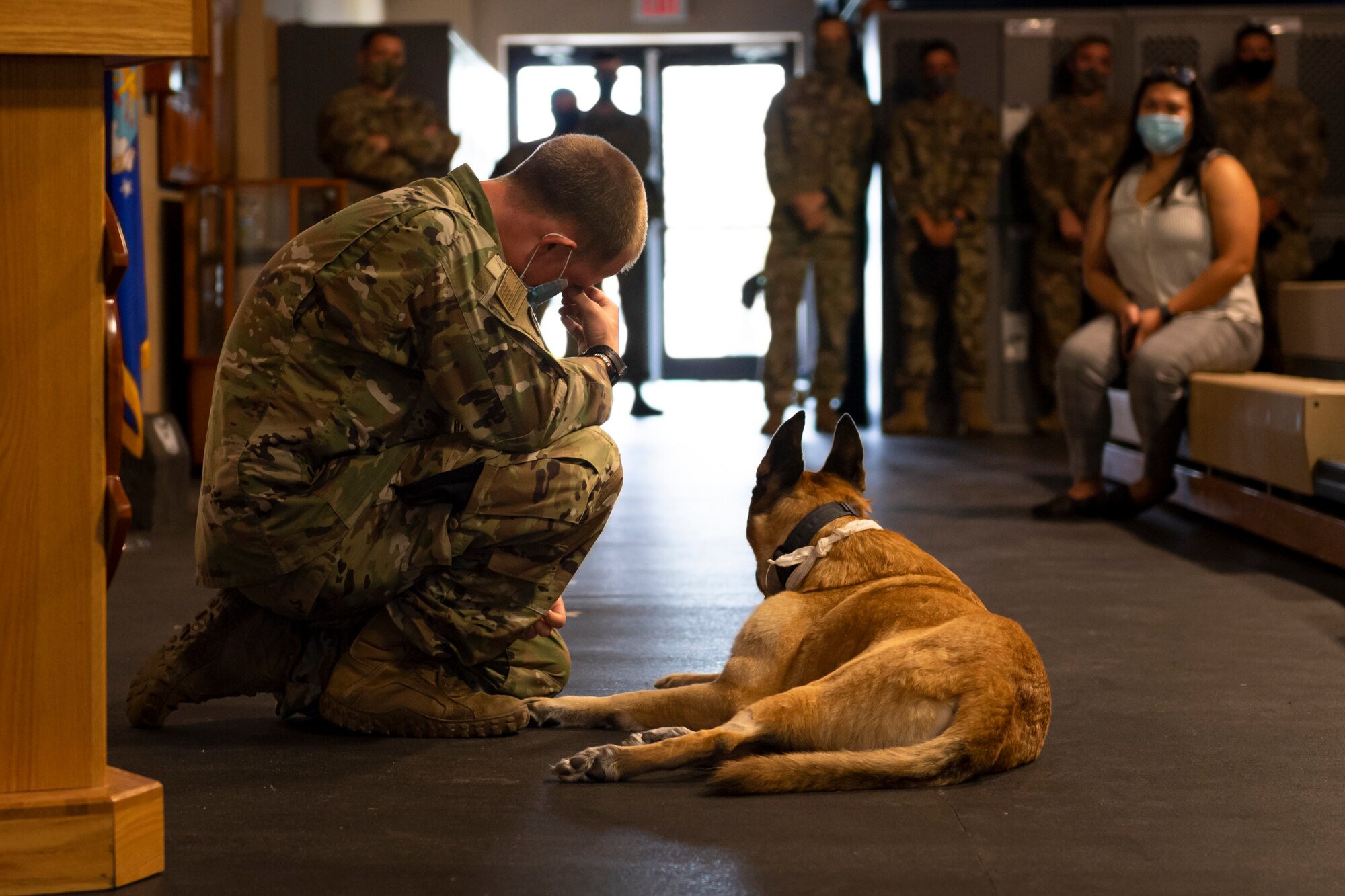 A photo of an Airman crouching near a retired military working dog
