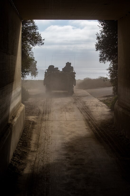 The AAV crew members conducted sustainment training to improve and maintain skills, such as driving, operating weapon systems and performing field expedient maintenance.