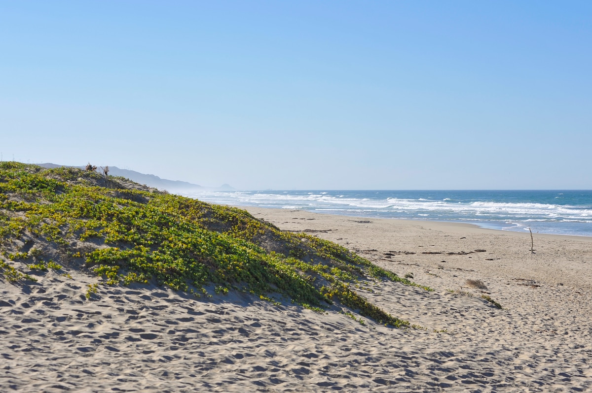 Seasonal Beach Restrictions Begin March 1 Vandenberg Space Force Base Article Display