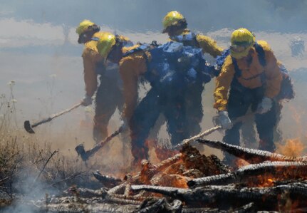 Citizen-Soldiers and -Airmen from the Oregon National Guard stamp out flames during a wildland firefighter training at the Department of Public Safety Standards and Training in Salem, Ore. July 13-17.