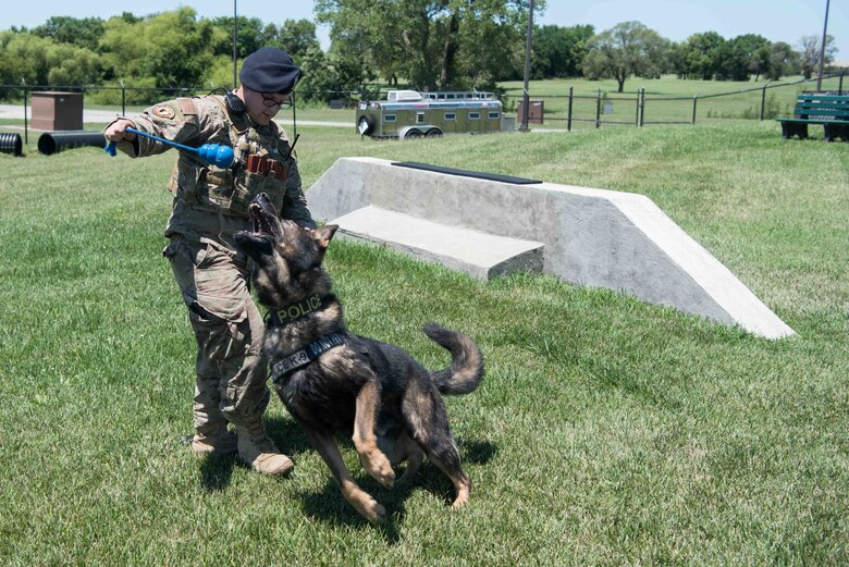 Staff Sgt. Michael Smith, 22nd Security Forces Squadron military workin¬¬g dog trainer, and his partner Drago, a nine-year-old German Sheppard SFS MWD, pose together for a photo July 13, 2020, at McConnell Air Force Base, Kansas. Smith and Drago have been partners since February 2020 and train 8-13 hours daily on security patrols, drug detection and explosive sweeps. (U.S. Air Force photo by Senior Airman Alexi Bosarge)