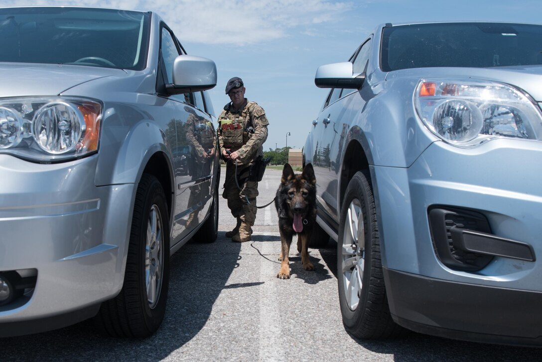 Staff Sgt. Michael Smith, 22nd Security Forces Squadron military working dog trainer, and Drago, a nine-year-old German Sheppard SFS MWD, perform a security sweep July 14, 2020 at McConnell Air Force Base, Kansas. Smith and Drago have been partners since February 2020 and train daily to perform security details, drug and explosive ordinance sweeps. (U.S. Air Force photo by Senior Airman Alexi Bosarge)
