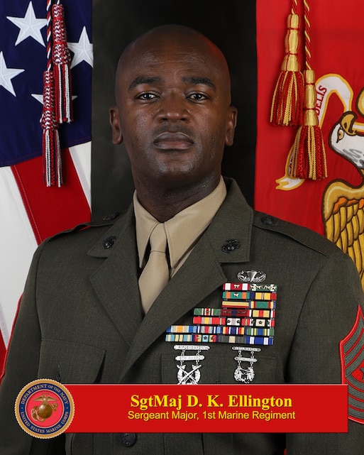 Sergeant Major Delwin K. Ellington > 1st Marine Division > Leaders