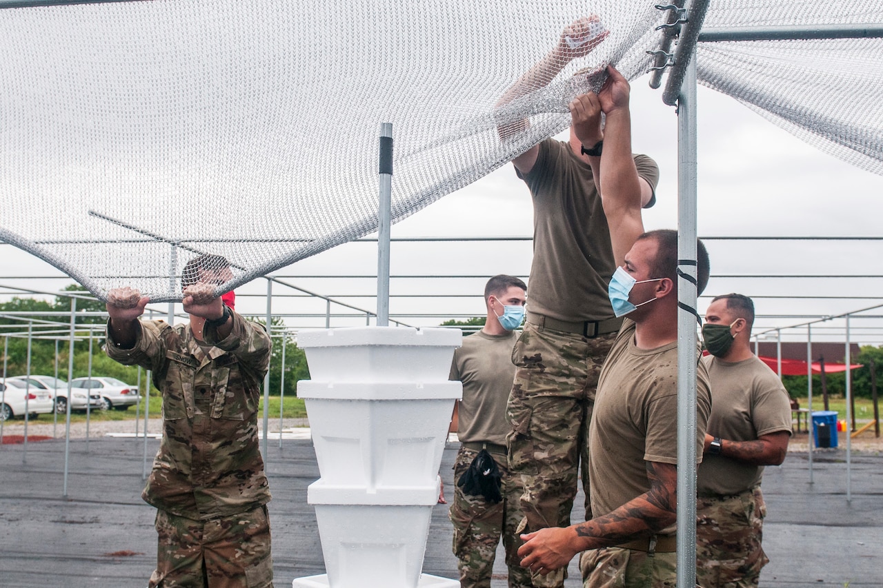 Soldiers hang netting at an urban farm.
