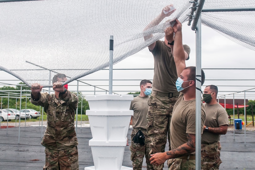 Soldiers hang netting at an urban farm.
