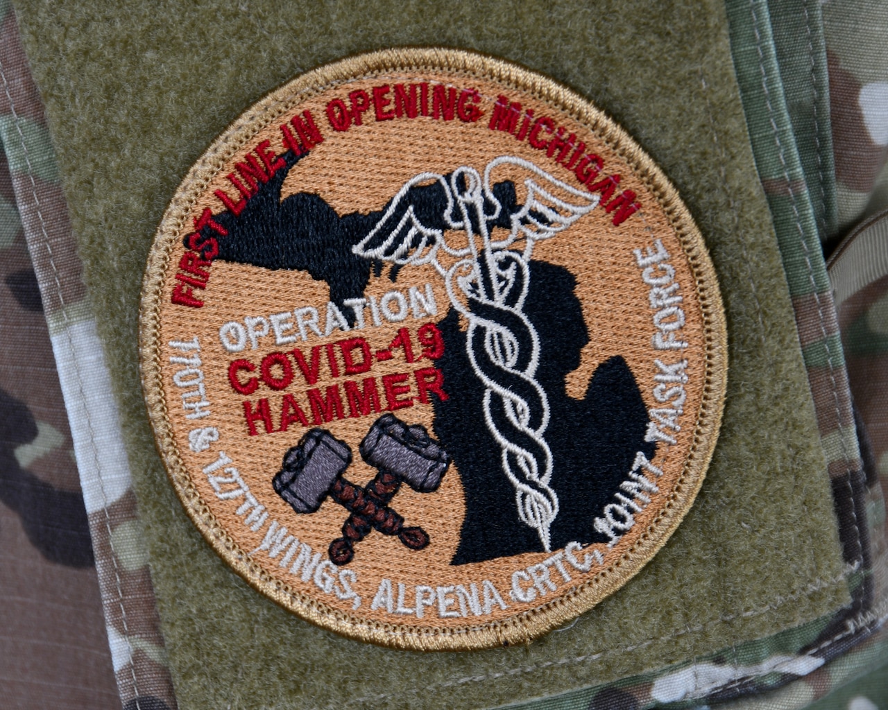 A Michigan National Guard morale patch.