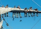 group of sailors hanging around on the sails