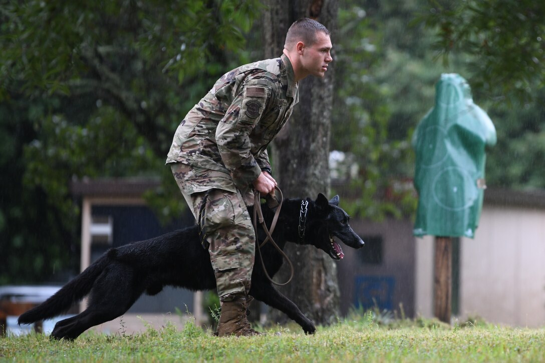 Staff Sgt. Travis Rhoad, 316th Security Support Squadron Military Working Dog section trainer, holds back military working dog, Jerry, during a competition at Joint Base Andrews, Md., July 24, 2020.