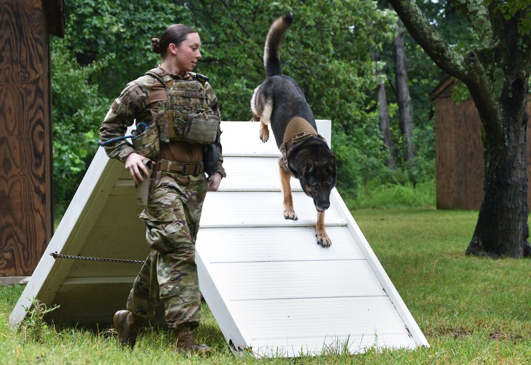 Staff Sgt. Samantha Frydenlund, 316th Security Support Squadron Military Working Dog section handler, guides Rocky, MWD, over an obstacle during a competition at Joint Base Andrews, Md., July 24, 2020.