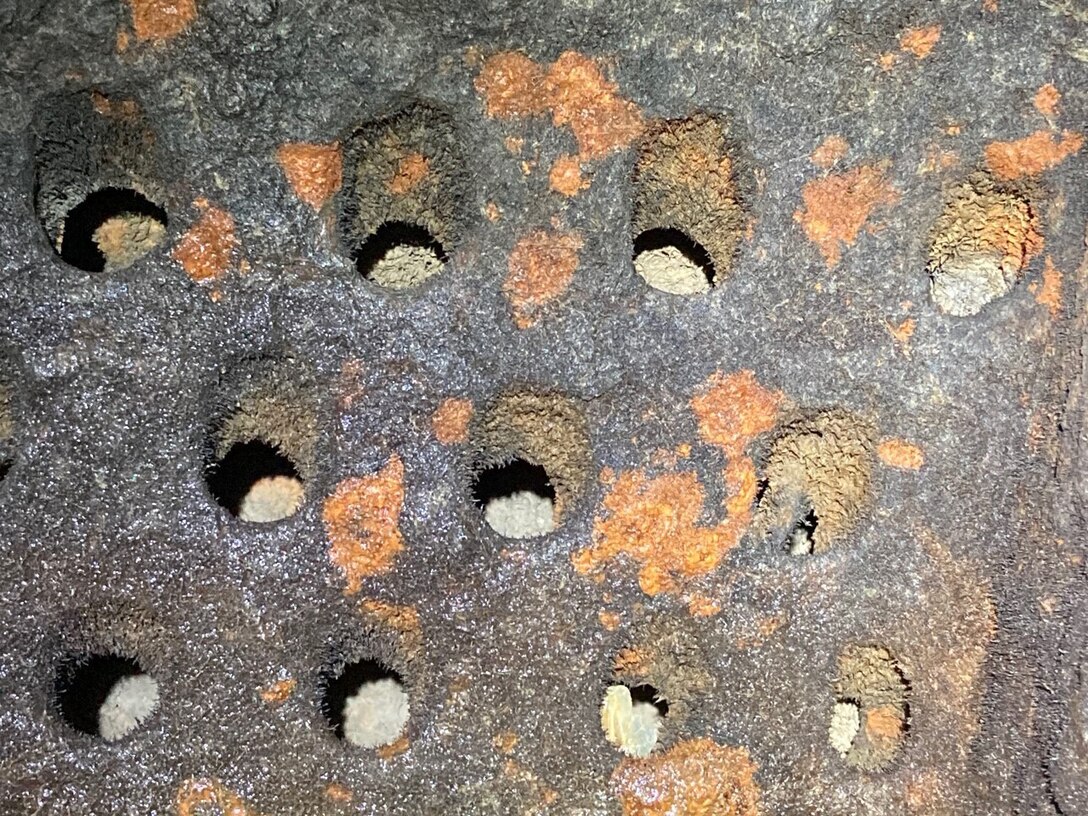 Mineralization and debris buildup in air vents can be seen in this photo. The air vents were cleaned out after being inspected in June 2020. The removal of the buildup allows the vents to function as designed.