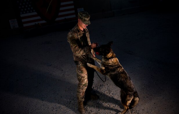 Staff Sgt. Joseph Burke, 368th Expeditionary Security Forces Squadron military working dog handler, rewards Ricki, 386th ESFS MWD, for being a good boy at Ali Al Salem Air Base, Kuwait, July 26, 2020.