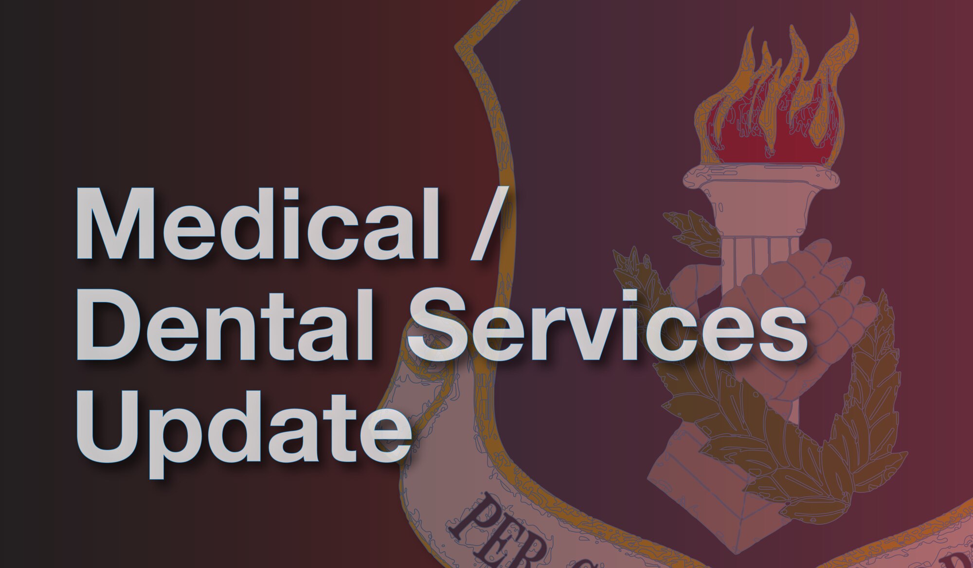 Medical and dental services offered during the August 2020 drill weekend.