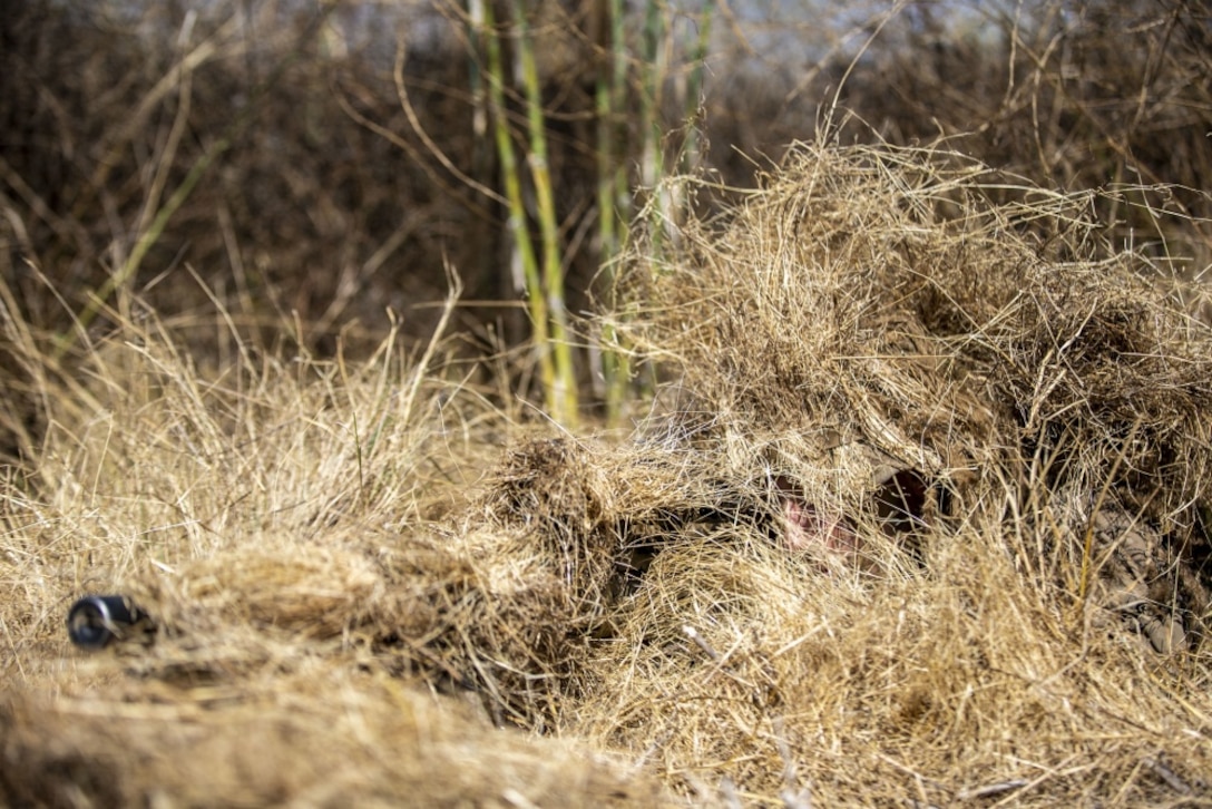 U.S. Marine Sgt. Joshua Dick, a student with the Scout Sniper Course, Reconnaissance Training Company, Advanced Infantry Training Battalion, School of Infantry - West, conceals himself during an exercise in the Romeo Training Area on Marine Corps Base Camp Pendleton, California, July 27, 2020. The students were participating in a stalking and infiltration exercise designed to test the concealment skills of the Marines. The objective of the exercise was to infiltrate an area and engage a target without being seen. (U.S. Marine Corps photo by Lance Cpl. Drake Nickels)