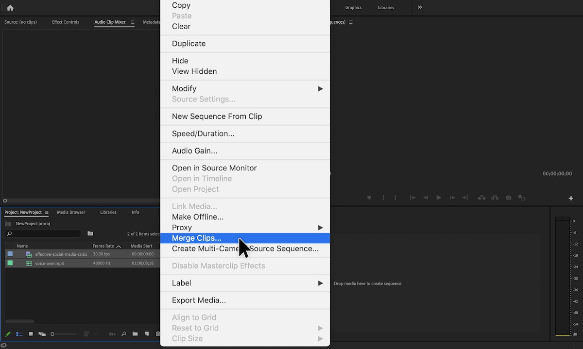 orange hundehvalp Lege med How to Merge and Sync Clips with Adobe Premiere > DINFOS Pavilion > How To