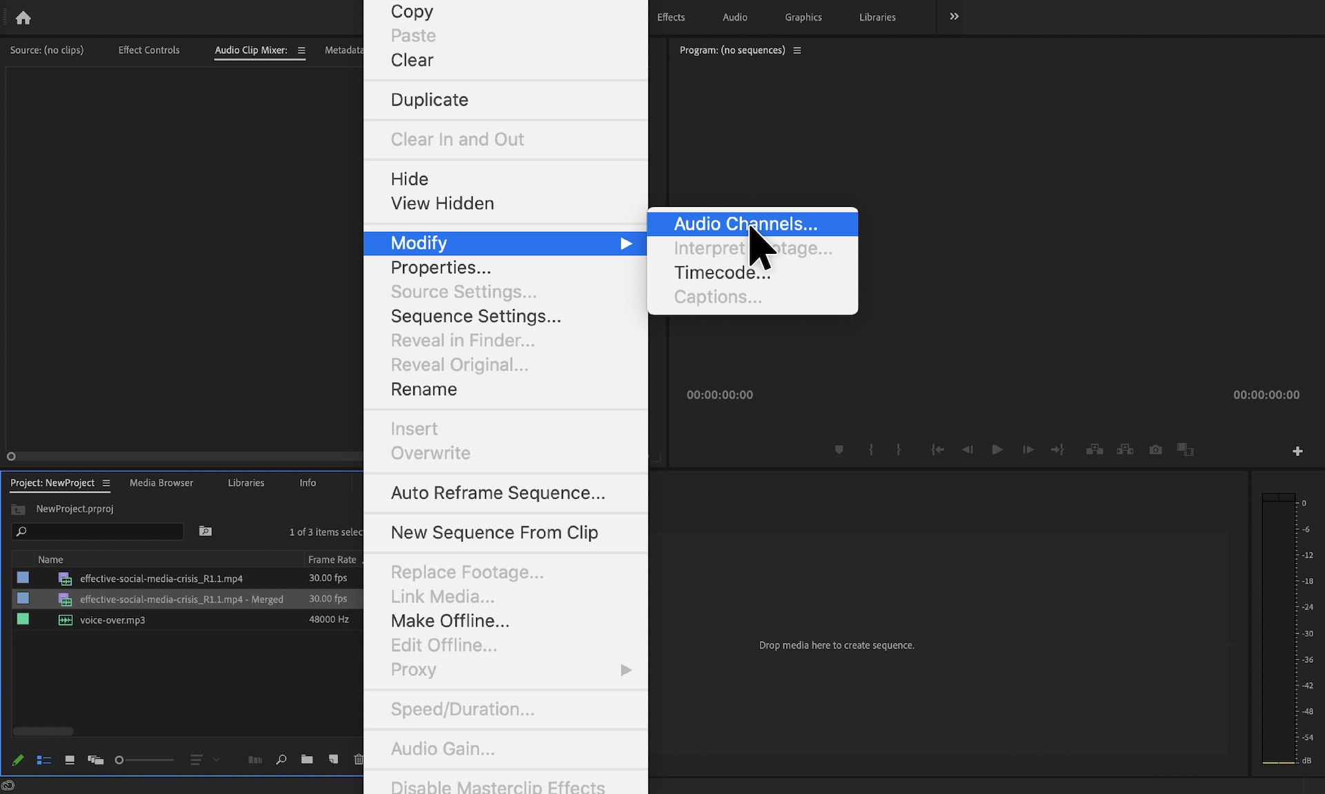 The Audio Channels menu option within Adobe Premier Pro.