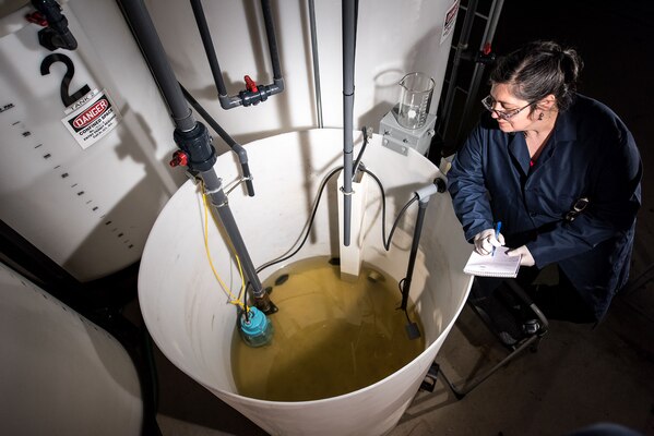 Rachel Jacobs, a chemical engineer, analyzes water in a tank in the Ballast Water Treatment Lab at Carderock