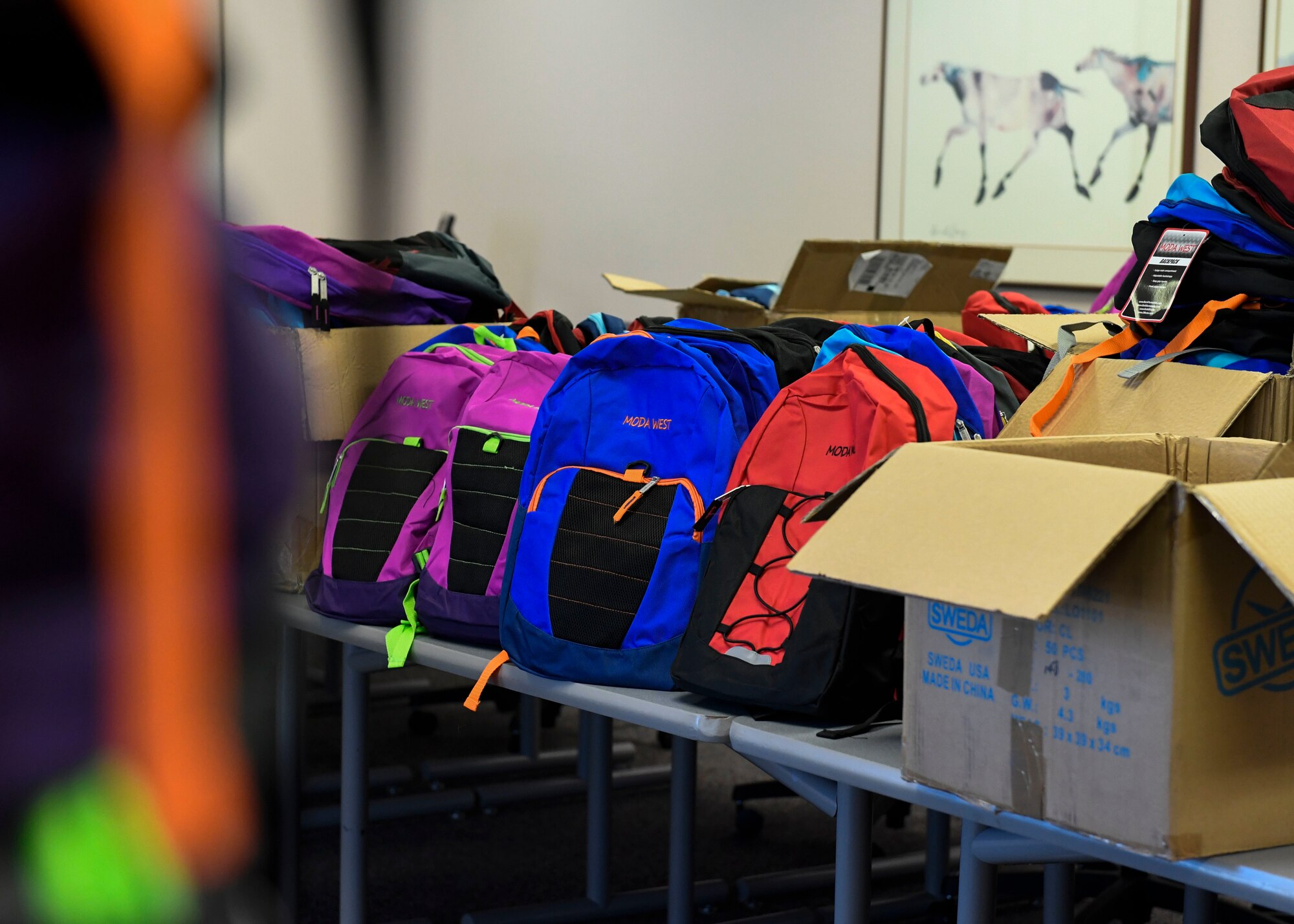 A display of backpacks.