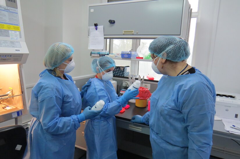 Laboratory technicians work at a biosafety cabinet.