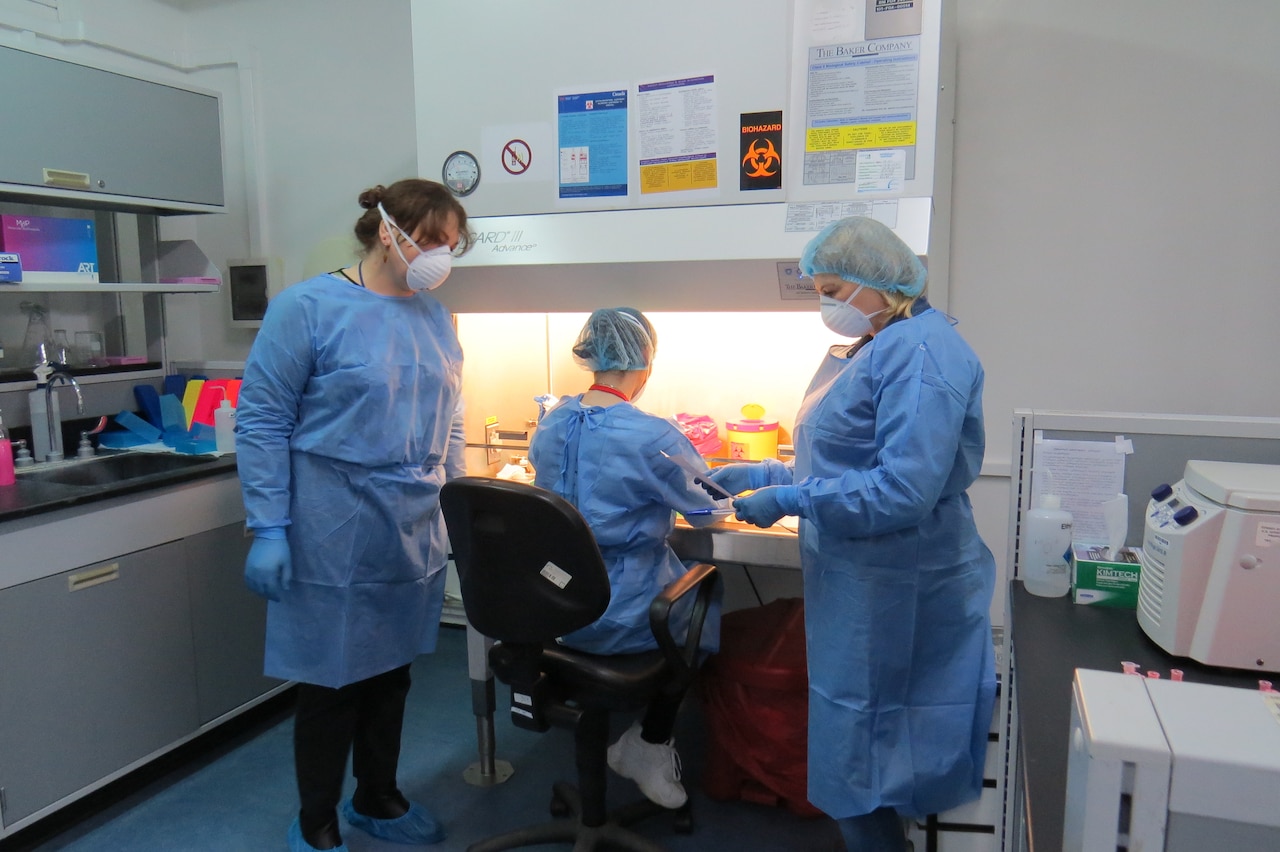 Laboratory technicians work at a biosafety cabinet.