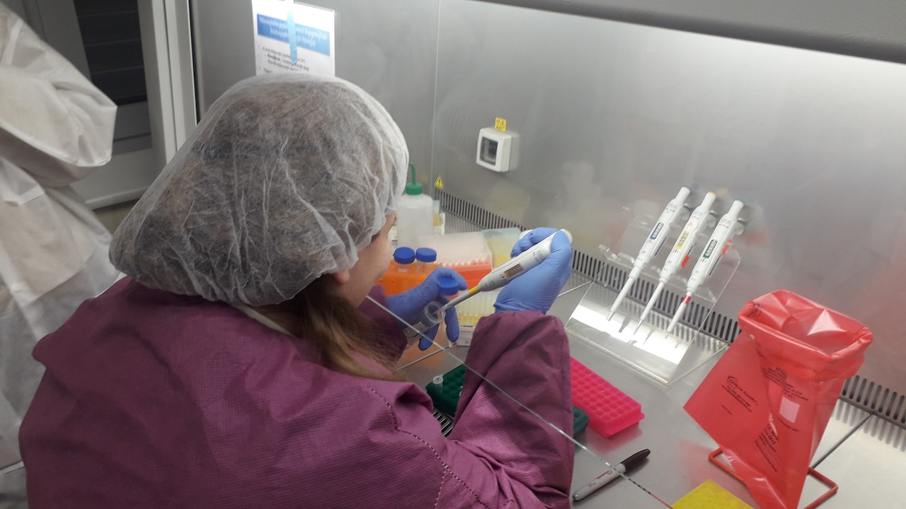 A woman places a pathogen sample into a test tube.