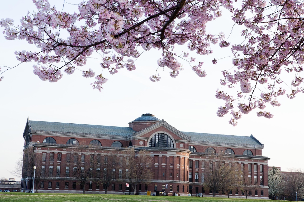 Building framed by cherry blossoms.