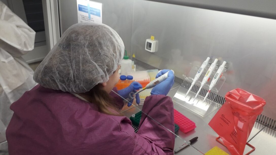 An Armenian laboratory technician at the Ministry of Health's central facility in Yerevan, Armenia, emplaces a pathogen sample into a test tube within the confines of a biosafety cabinet.