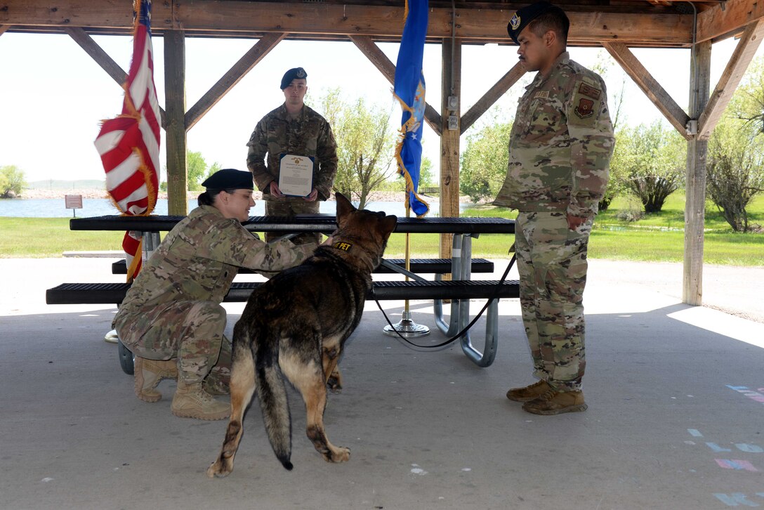 Dog is awarded medal