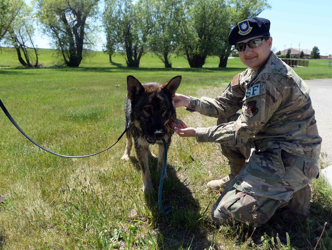 Dog and person