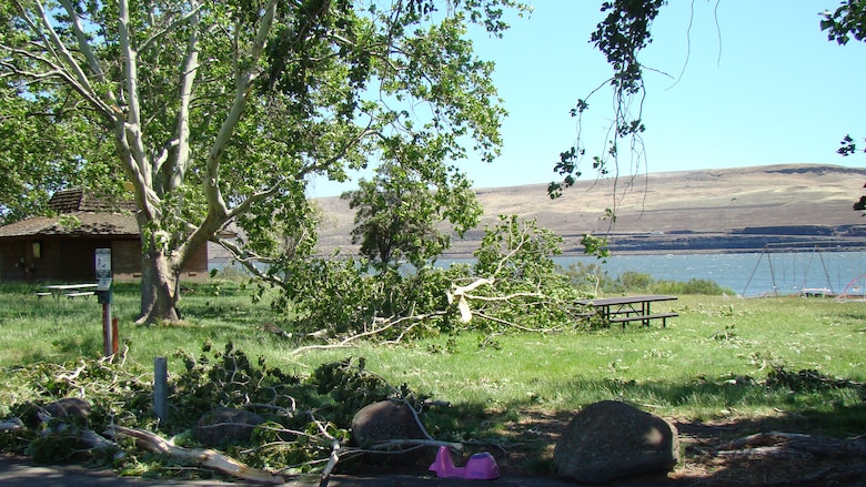 Park facilities were damaged and trees uprooted at Roosevelt Park due to a severe storm that impacted recreation sites near John Day Lock & Dam.