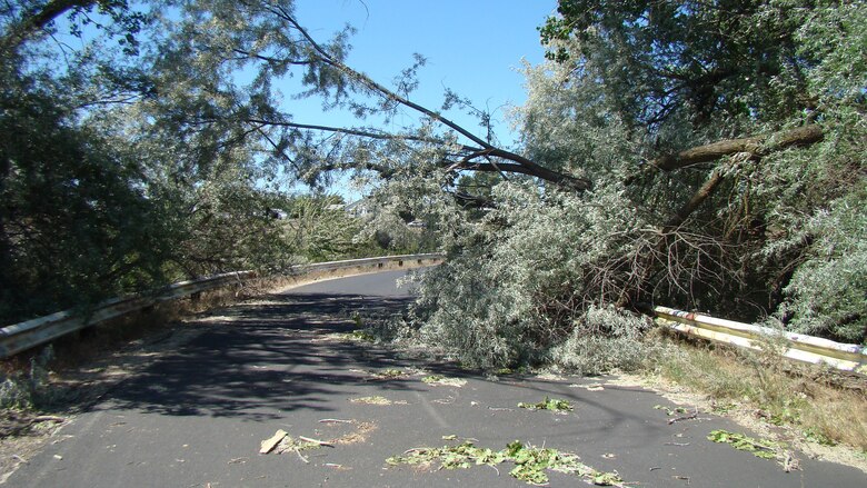 Park facilities were damaged and trees uprooted at Plymouth Park due to a severe storm that impacted recreation sites near John Day Lock & Dam.