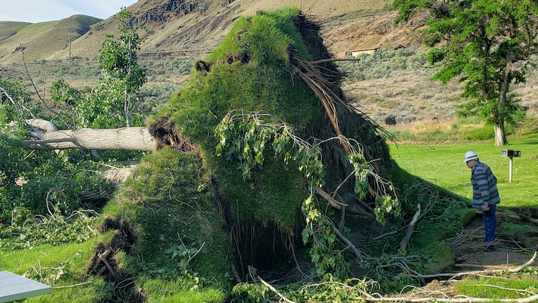 Park facilities were damaged and trees uprooted at LePage Park due to a severe storm that impacted recreation sites near John Day Lock & Dam.