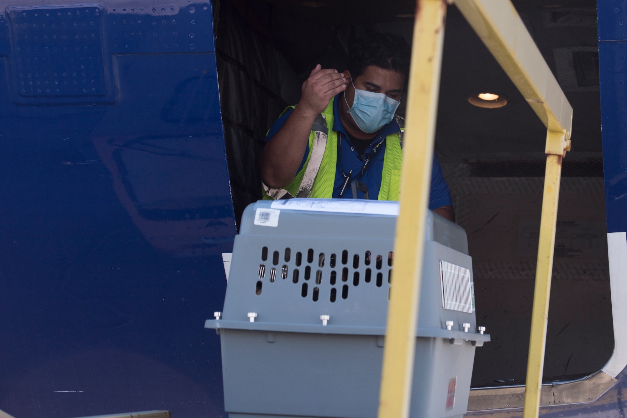 A photo of a civilian preparing to take a kennel into an aircraft.