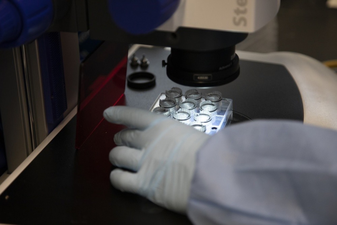 A gloved hand positions a rack of test specimens under a microscope.