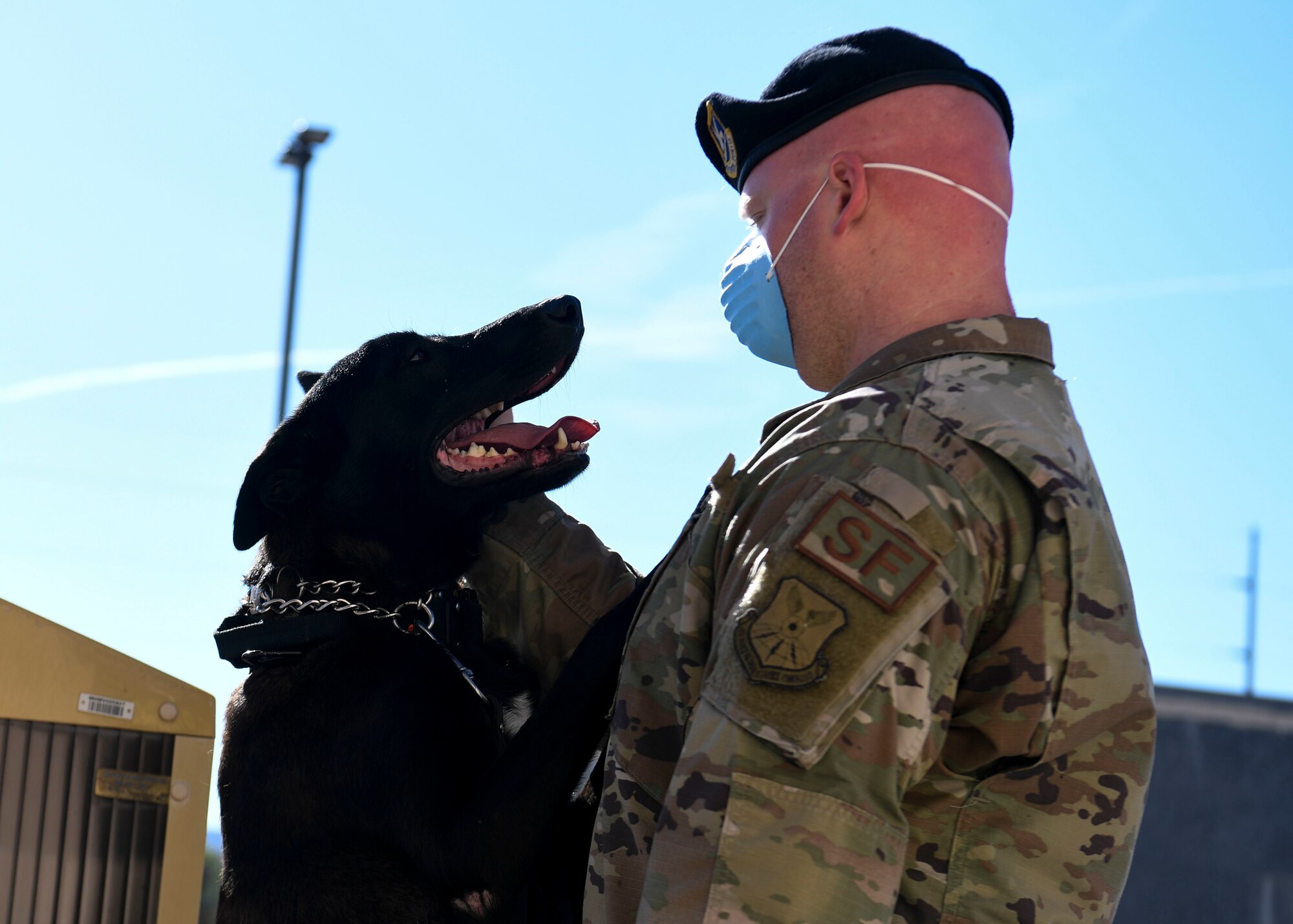 A dog greets his handler
