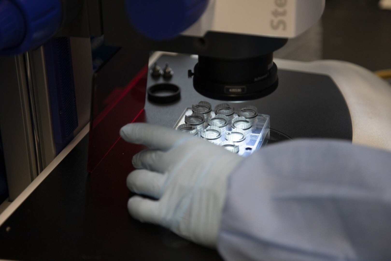 Coronavirus study