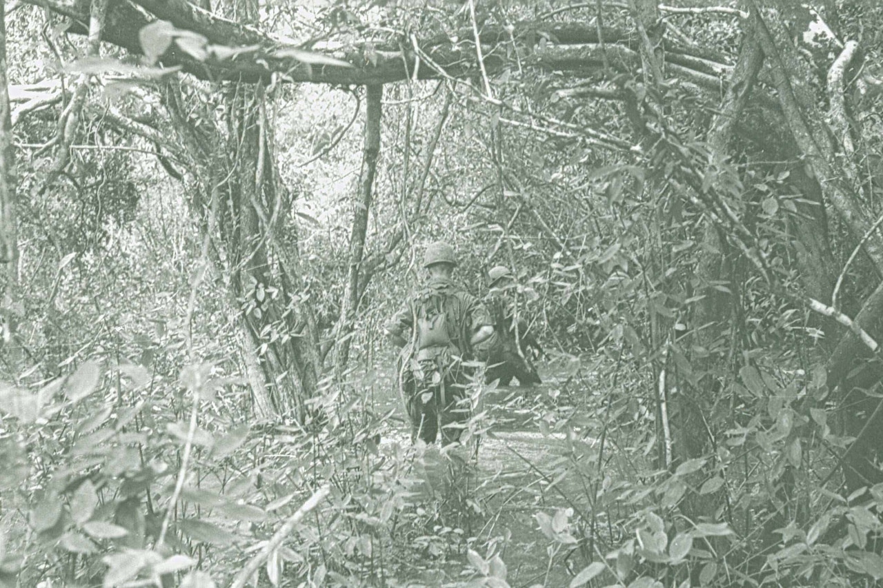 Two men in battle uniforms walk through a swamp in a dense jungle.