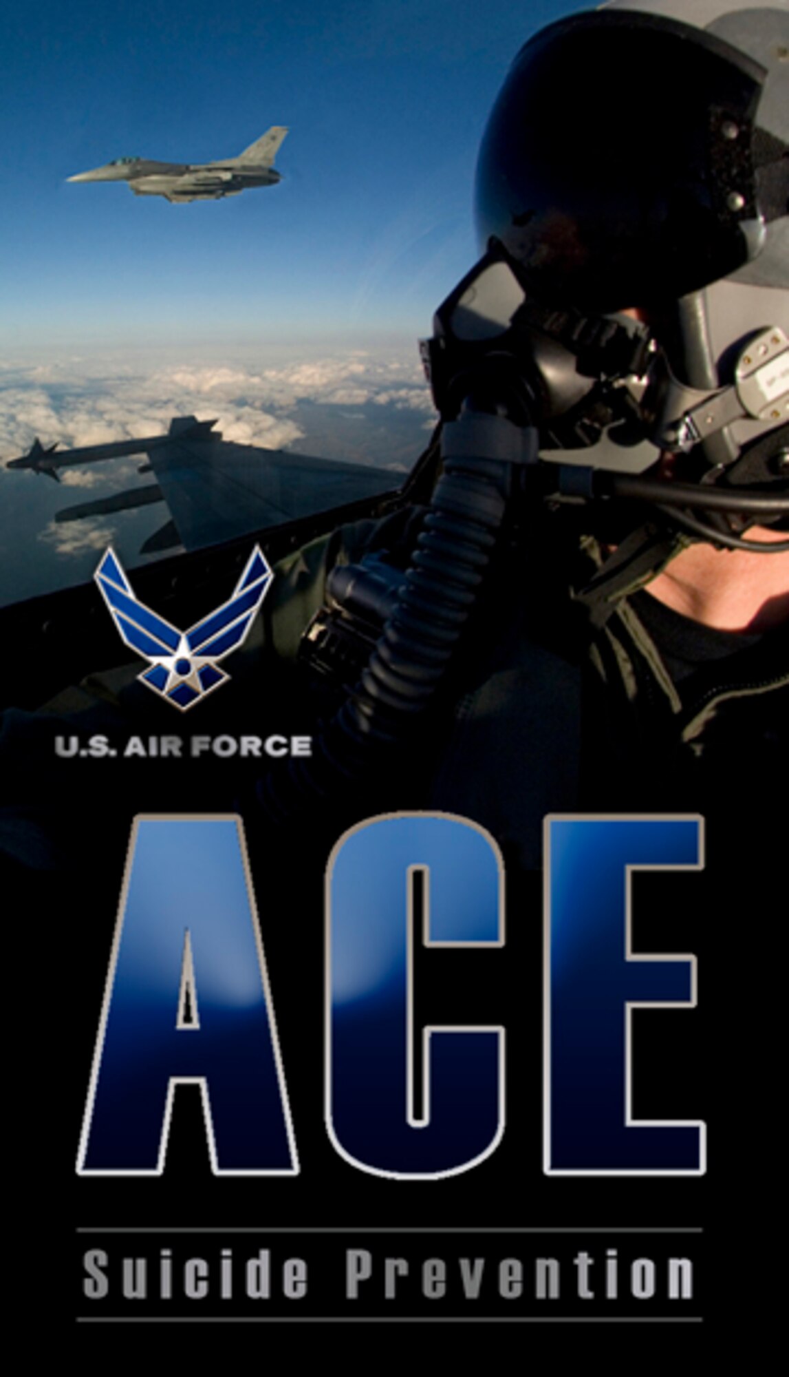 ACE program