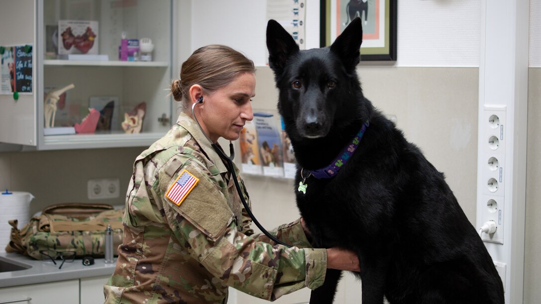 Soldier fulfills childhood dream to become veterinarian